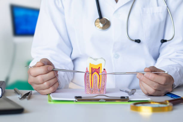 Best 24-Hour Emergency Dental Care in Hartshorne, OK